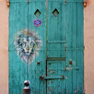 Volets de porte en bois verts recouverts d'une tête de lion sur mur beige - France  - collection de photos clin d'oeil, catégorie portes